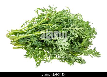 Fresca crisantemo commestibile verdi (glebionis coronaria) intaglio su sfondo bianco Foto Stock