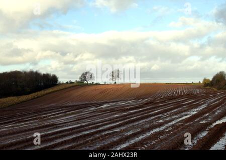 Rottura sole attraverso su arare i campi fangosi in Herefordshire Foto Stock