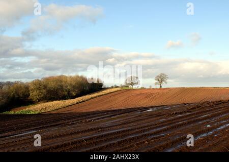 Rottura sole attraverso su arare i campi fangosi in Herefordshire Foto Stock
