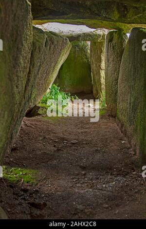 Francia, Bretagna, Commana, Morgau Bihan, coperto , il passaggio delle tombe megalitiche, 3.000 anni, 1.000 BC, Foto Stock