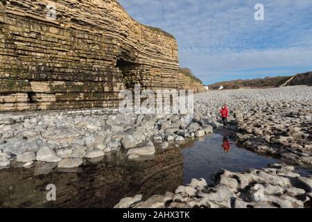 Reynard della grotta a Tresilian Bay in Glamorgan Heritage Coast a piedi, Wales, Regno Unito Foto Stock