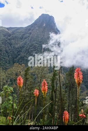 Nuvole di laminazione a valle Cocora, Salento, Colombia Foto Stock