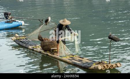 Pescatore cormorano su zattera di bambù che dimostra tecnica della rete del getto, fiume li, Xingping, provincia di Guangxi, Cina Foto Stock