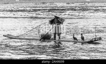 Pescatore cormorano con due cormorani che scendono lungo il fiume li vicino a Xingping, provincia Guangxi, Cina Foto Stock