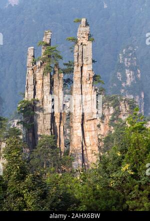 Ripidi Pilastri In Arenaria, Zhangiajie National Park, Hunnan, Cina Foto Stock