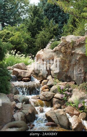Una serie di piccole cascate tumbling su piccoli massi costeggiata da alberi, arbusti ed erbe in Colorado, STATI UNITI D'AMERICA Foto Stock