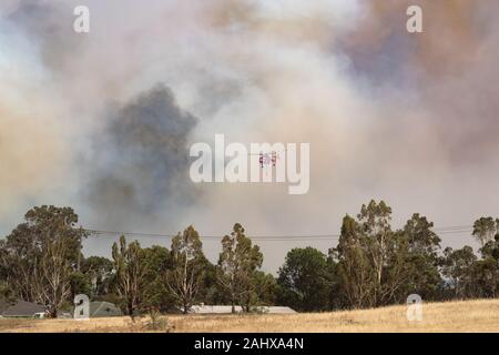 Erickson Air Crane elicottero N243AC (Sikorsky S-64) volare contro pennacchi di fumo durante la lotta contro gli incendi di bush in Victoria, Australia. Foto Stock