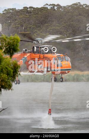 Erickson Air Crane elicottero N243AC (Sikorsky S-64E) aspirare un carico di acqua per la lotta contro un bushfire nel sobborgo di Melbourne di Bundoora. Foto Stock