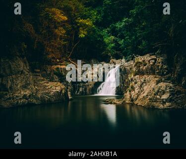 Crystal sulle cascate di cairns di estremo Nord Queensland Foto Stock