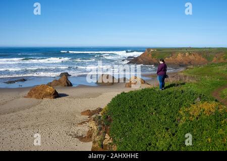 Una donna in un maglione e jeans sorge sulla sommità di basse scogliere coperte di vegetazione verde e si affaccia su una spiaggia di sabbia a Fort Bragg, California. Foto Stock