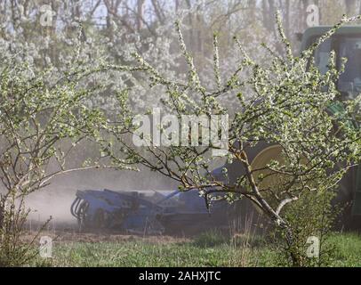 La lettonia, TUKUMS - 30 aprile: il trattore opera sul campo in una primavera lungo il grande vecchio albero il 30 aprile 2019, Tukums distretto, Lettonia. Foto Stock