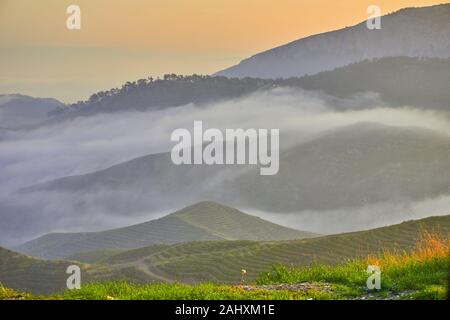 Bellissima alba sopra le nuvole e le montagne Foto Stock