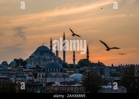 I gabbiani sono volare intorno alla Moschea Süleymaniye, Süleymaniye Camii, situato su una collina nel quartiere di Fatih, al tramonto Foto Stock