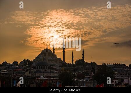 I gabbiani sono volare intorno alla Moschea Süleymaniye, Süleymaniye Camii, situato su una collina nel quartiere di Fatih, al tramonto Foto Stock