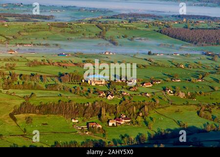 Francia, Borgogna, Saône et Loire, siepe paesaggio Foto Stock