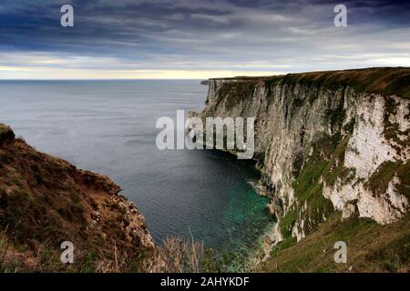 Vista su RSPB Bempton Cliffs, Bempton village, East Riding of Yorkshire, Inghilterra, Regno Unito Foto Stock