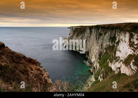 Vista su RSPB Bempton Cliffs, Bempton village, East Riding of Yorkshire, Inghilterra, Regno Unito Foto Stock