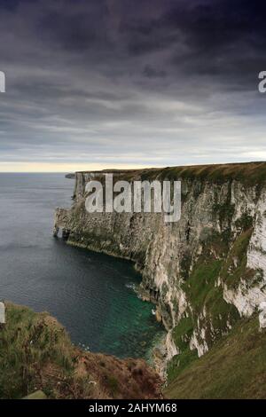 Vista su RSPB Bempton Cliffs, Bempton village, East Riding of Yorkshire, Inghilterra, Regno Unito Foto Stock