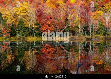 Autunno a Mont Orford National Park, Eastern Townships, Quebec, Canada. Lago Etang aux Cerises Foto Stock