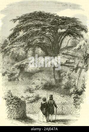 Le Jardin des plantes : descrizione . lle Hollande par le capitaine Du Petit Thniiars;ils nont [las de casque, cl leur piumaggio jibis est fourni, iiuoiipiemoins brillant.Plus lombo, toujoiir-- dans une division du même parc(.)9), nous 36 Le Jardin des Plantes. voyons, autour iliin petit bassin, des grues de Numidie envoyeespar le docteur Clot-Bey, des pintades, des dindons, des sarcelleset des canards etrangers, tous dun piumaggio gradevole. Viennentencore ((30j des Casoars de la Nouvelle-Hollande, puis des niara-liouls, dont les plumes, duveteuses et légères, servent de parurede télé à nos dames, Foto Stock