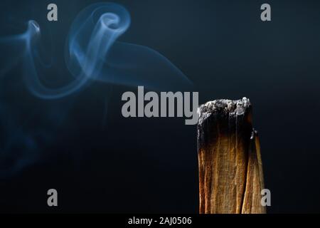 Palo Santo, santo albero sacro stick, macro close-up, la masterizzazione con fumo aromatico. Foto Stock