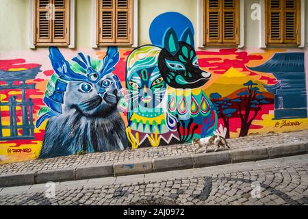 Facciata di una casa con graffity di gatti spruzzato su un gatto passato a piedi nel sobborgo Karaköy Foto Stock