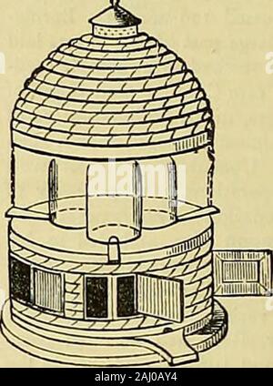 I giardinieri' cronaca : un settimanale illustrato ufficiale di orticoltura e materie affini . Oli, trementina.e colori. 6 X 4 a 7K &gt;; sH . 8 X 6 a loj^ X 8J^ . Esso X 9 a 14 x lo 15 X 10 a 18 X 12 . 20 x 12 a 20 X 1821-02., ORTICOLE VETRO, 15-OZ. e 2t-oz., ia Bo.xes contenente 200 piedi. Trasporto pagato a qualsiasi stazione ferroviaria in Inghilterra. Listini prezzi applicazione ok.ALFRED SYER, vetro al piombo. Zinco, olio e ColorMerchant, 6 e 8, Pentonville Road. Londra. N. di raccogliere miele dai vostri fiori. I vicini hanno celebrato alveari,per prendere il miele senza la distruzione delle api.PH Foto Stock