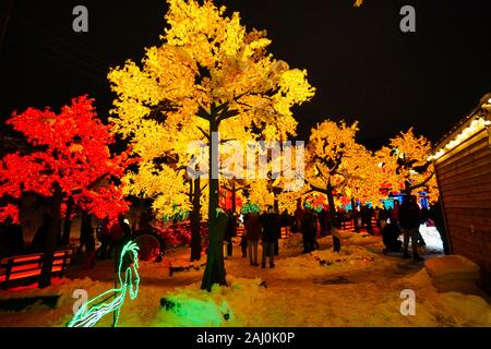 Laval,Quebec, Canada,gennaio 01,2020.Illumi festival delle luci da Cavalia in Laval,Quebec,Canada.Credit:Mario Beauregard/Alamy News Foto Stock