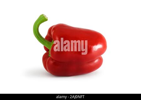 Peperone rosso isolato su sfondo bianco Foto Stock