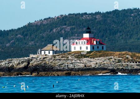Uovo faro di roccia nel Maine con i gabbiani in piedi sulle rocce e Acadia National Parks Cadillac Mountain dietro di esso su di un pomeriggio d'estate. Foto Stock