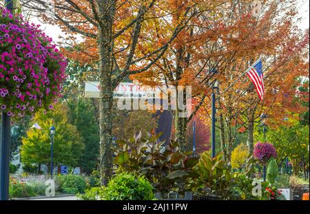 Piccola città USA. Strada principale USA con foglie di colore autunnale e bandiera americana nel centro di Frankenmuth, Michigan. Foto Stock