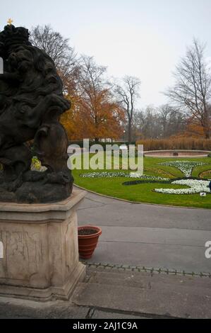 Fioritura invernale Pansy Pansises letti orto in i Giardini del Castello di Praga Repubblica Ceca Europa Foto Stock