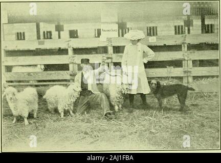 L'angora e mohair industria nel nord-ovest; anche un report completo e la procedura del nord-ovest capre angora Association tenutosi a Portland, Oregon, Gennaio 4-7, 1911 . tself, esercitano un grande e più vantaggioso di Fluence è il mantenimento di prezzi dell'Angora productsand per assicurare i migliori risultati da Americanflocks. Per portare a compimento un ulteriore sviluppo della razza, molto si attende dal smallflocks di Angoras registrati di cui un un-nually numero crescente viene avviato onAmerican fattorie con ogni anno successivo.Questi riceveranno una maggiore cura e attenzione thangiven la gamma Foto Stock