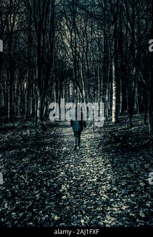 Figura solitaria camminando lungo il sentiero nel bosco Foto Stock