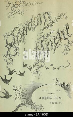 Bowdoin Orient . OS LA STRADA. fie iiiiii@iii ii", (stabilito 1877.) Istituto Edificio, Huntington Ave., Boston. Uno dedicato esclusivamente per le biciclette e l'OTHEB per tricicli. Sia inviato Catalogo libera ovunque sulla ricevuta di un due-cento timbro all indirizzo di cui sopra. ALLEN & Company, isttii SMrts iii Fiit Finisiiii & di- e GENTLEMENS NECKDRESSINGS importati è completa. Il più recente e più desiderabile merci ora aprire FORMENS eleganti arredi a molla. ALLEN & COMPANY,470 Congress Street, - - Piazza del Mercato, r^ORTL^^lSTD, - - - ]VrA^I]SrE.. BOWDOIN ORIENT. Una chiara luce fissa il STUDENTSCOMFORT UN Foto Stock