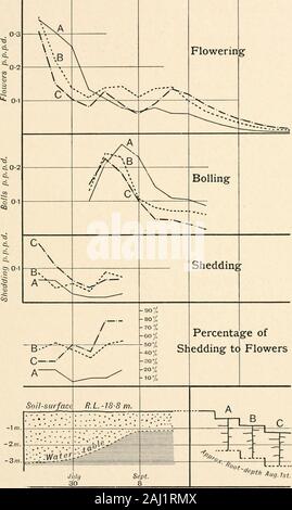 Pianta del cotone in Egitto, studi in fisiologia e genetica . e allo spargimento di curva. Il steadyprogression dalla terrazza C-la più bassa da una terrazza,diventa ancora più evidente quando la curva di sheddingis tracciata in forma di percentuale di fiori toflowers capannone aperto. La quantità di spargimento appare così tobe proporzionale alla profondità della radice-sistema che issubmerged dai crescenti di acqua-tavola. Nel 1910 l'sameset di osservazioni non ha dato alcun risultato che potrebbe essere dis-sato mediante i metodi di osservazione impiegati; non thiswas imprevisto, in quanto il luogo del Nilo mostrato dail acqua-tavola su questi Foto Stock