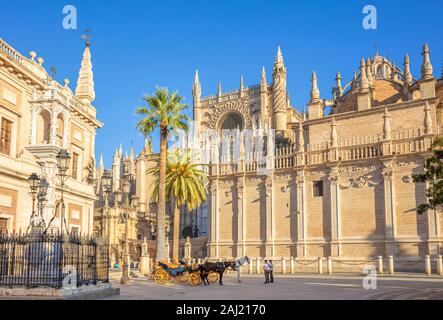 Gite in carrozza offerti al di fuori Cattedrale di Siviglia e l'Archivio Generale delle Indie edificio, UNESCO, Siviglia, in Andalusia, Spagna Foto Stock