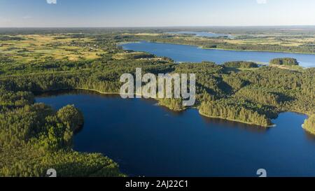 Vista aerea della bellissima natura, laghi forestali in Canada. Boschi con splendidi alberi e laghi blu. Foto Stock