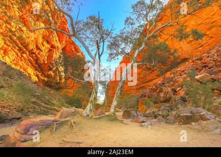 Scenic Simpsons Gap e vegetazione permanente nel West MacDonnell Ranges, vicino a Alice Springs il Larapinta Trail nella stagione invernale, Australia Foto Stock