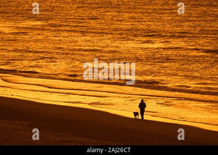 Lonesome proprietario del cane a camminare lungo la costa con unleashed cane sulla spiaggia sabbiosa, stagliano al tramonto su una fredda sera in inverno Foto Stock