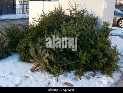 Albero di natale la fine della vita di garbage Foto Stock