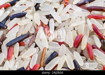 Mix colorato grana di riso. Materie i semi secchi dettaglio. Oryza sativa. Differenti varietà: bianco, rosso, nero, di media o lunga grani. Cibo di graffa. Cucina asiatica. Foto Stock
