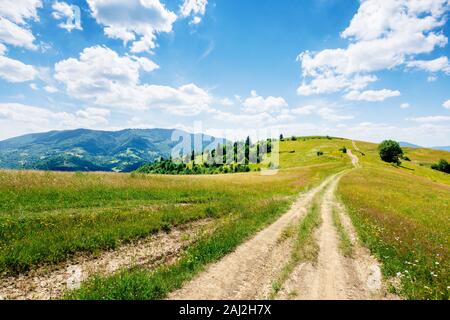 Montagna paesaggio rurale in estate. paese avvolgimento percorso off nel lontano ridge. dolci colline con campi in erba e prati. calma weat soleggiato Foto Stock