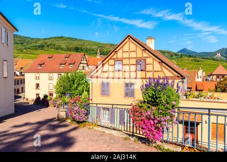 Strada con case tradizionali nel famoso villaggio Hunawihr con vigneti in background, Alsazia strada del vino, Francia Foto Stock