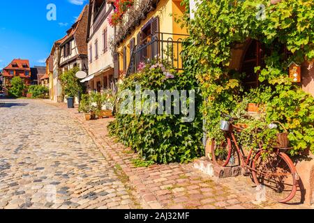 Vecchio arrugginito il parcheggio per le bici in vigneti e bellissime facciate di case decorate con fiori sulla strada del villaggio di Bergheim, Alsazia strada del vino, Fran Foto Stock