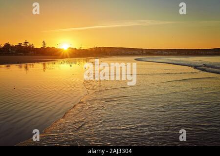 Romantico tramonto sulla spiaggia con i gabbiani, acqua riflessioni e mulini a vento in background in Essaouira, Marocco con profondità di campo Foto Stock