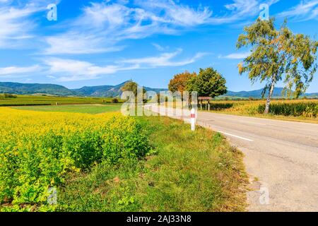 Strada lungo campo di colza con il segno "Parc Naturel Regional des Ballons des Vosges' che significa natura parco delle montagne Vosges, l'Alsazia strada del vino, Fr Foto Stock