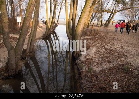 Foce del Potok Oliwski (Oliwski Stream) in Gdansk, Polonia. 1 gennaio 2020 © Wojciech Strozyk / Alamy Stock Photo Foto Stock