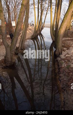 Foce del Potok Oliwski (Oliwski Stream) in Gdansk, Polonia. 1 gennaio 2020 © Wojciech Strozyk / Alamy Stock Photo Foto Stock