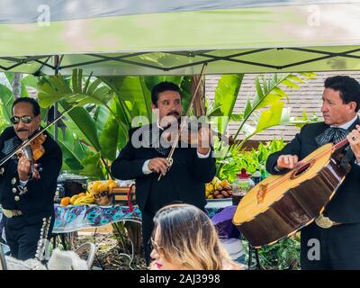 Mariachi messicani fascia giocare felici, iconico, la musica tradizionale in corrispondenza privata, Mexican-American festa di compleanno, San Diego, la California del sud, STATI UNITI D'AMERICA Foto Stock